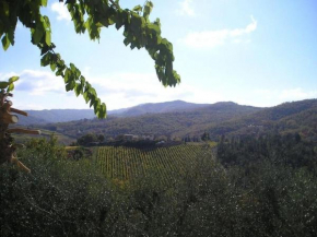 Un piccolo Paradiso nel Chianti più selvaggio Greve In Chianti